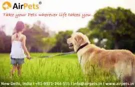 Pets Export to Malaysia from India , Delhi