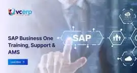 Need SAP Business One Help? Support & Training Ava, Ahmedabad