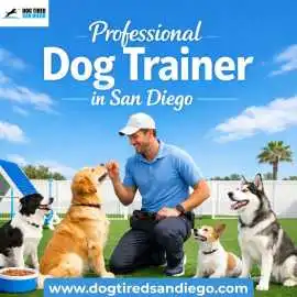 Dog Tired's Expert Dog Training in San Diego, San Diego