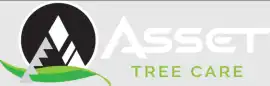Asset Tree Care, Falcon