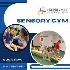 Sensory Gym: Supporting Growth, Ronkonkoma