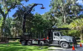 Commercial Tree Services Jacksonville, Jacksonville