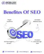 Best Search Engine Optimization Services -mobilogy, Ahmedabad