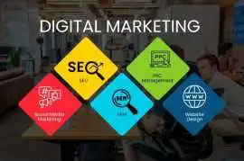 SEO SERVICE IN NOIDA, Noida