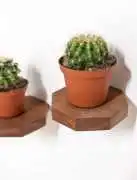 Geometric Wall Shelf Trends Reshaping Small Spaces, $ 0