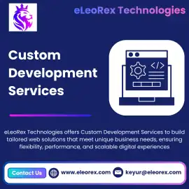 Best Custom Development Services | eLeoRex Technol, San Francisco