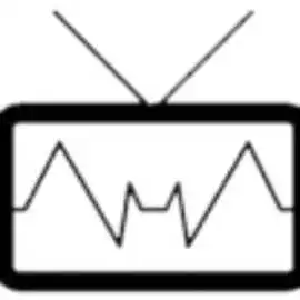 Bat City TV, Austin