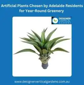 Artificial Plants Chosen by Adelaide Residents for, $ 0