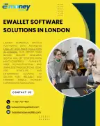 Secure Ewallet Software Solutions in London for Fi, London