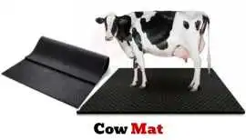 Online Buy Cow Mat in Delhi | Gravolite, $ 2,000