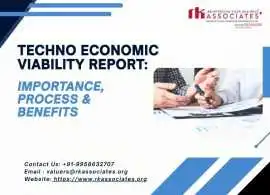 Techno Economic Viability Report Services by Exper, Noida