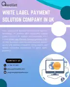Secure White Label Payment Gateway Solutions, London