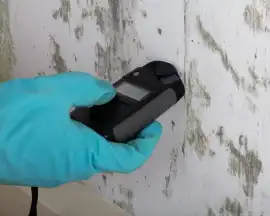 Black Mold Removal Contractor – Professional Mold , Los Angeles