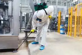 Effective Pest Control | Knockdown Pest Control, Belmore