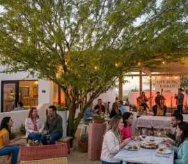 Vibrant Spring Nights of Live Music in Encinitas