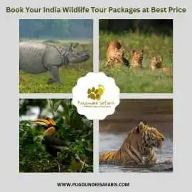 Book Your India Wildlife Tour Packages 