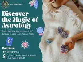 Experienced Astrologer in Noida, Noida