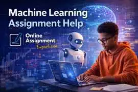 Navigating Predictive Models: Expert Computational, Delhi