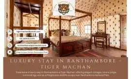 Luxury stay in Ranthambore - Tiger Machan, Sawai Madhopur