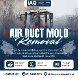 Air Duct Mold Removal, Austin