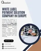 Launch Your Own Brand with White-Label Payment Gat, London