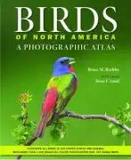 Buy Birds of North America Hardcover at Magsstore