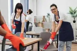 Get Reliable Supported Employment Solutions, Adelaide
