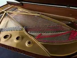Explore Steinway and Sons Pianos in Australia: Why, $ 1