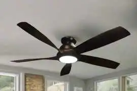 Premium Visual Appeal Designer Fan, $ 0