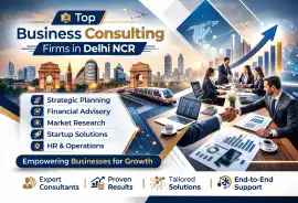 Expert business advisory in Delhi NCR , Noida