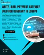 Secure White Label Payment Gateway Solutions Europ, London