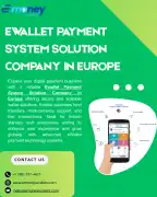 Trusted Ewallet Payment System Solution Company in, London
