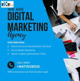 WooCommerce Development & Digital Marketing, Toronto