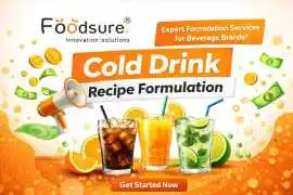 Cold Drink Recipe Formulation Services for Beverag, Noida