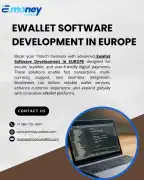 Best Ewallet Software Development in Europe for Se, London