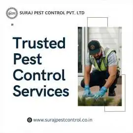 Reputable Pest Control Experts in Faridabad, Faridabad