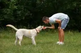 Dog Trainer, Kolkata