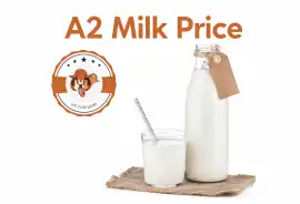 Best A2 Milk Price Online – Premium Quality Fresh , Gandhinagar