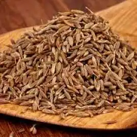 Cumin Seeds Suppliers in Karnataka, Delhi