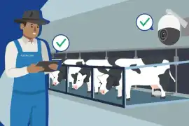 Advanced Cow Software for Ranch Management | Cattl, Marina del Rey