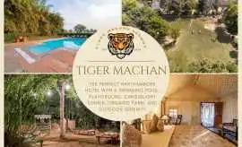 Best Ranthambore Resort with Pool & Activities