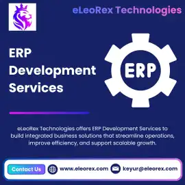 Best ERP Development Services | eLeoRex Technologi, San Francisco