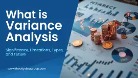 What Is Variance Analysis and Why Does It Matter?, Mohali