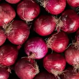 Red Onion Suppliers in Maharashtra, Delhi
