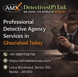 Professional Detective Agency Services, Noida