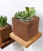 Mahogany Square Shelve for Tiny Spaces!, $ 0
