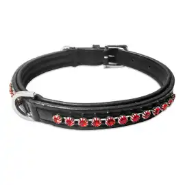 Why High-Quality Dog Collars Are Essential for You, $ 68