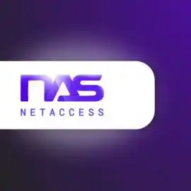 NetAccess Systems - Hamilton Managed IT Services C, Hamilton
