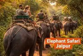 Book Elephant Safari Jaipur for Lifetime Memories, Jaipur