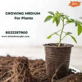 Growing Medium for Plants for Plant Nutrition, $ 100